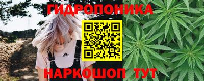 стаф Ипатово