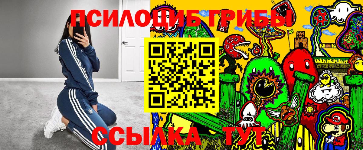 Солнечногорск  Псилоцибиновые грибы мухоморы  Вход с VPN  Псилоцибиновые грибы Cubensis 